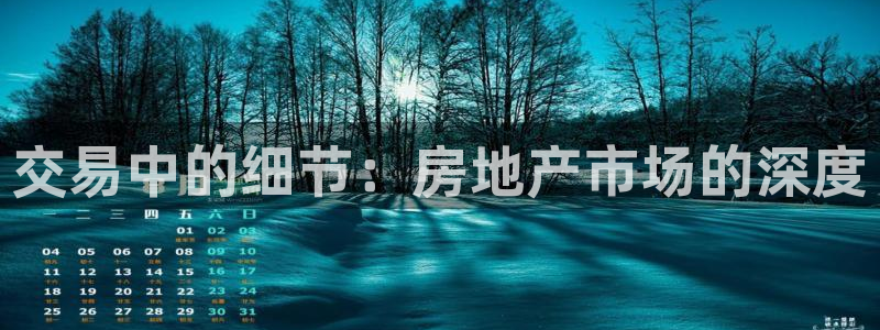 新宝5测速在线：交易中的细节：房地产市场的深度