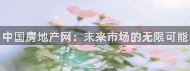 新宝娱乐5入口：中国房地产网：未来市场的无限可能