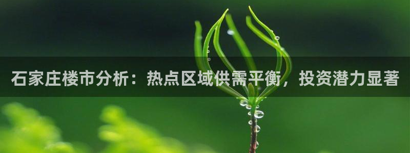 新宝速5：石家庄楼市分析：热点区域供需平衡，投资潜力显著