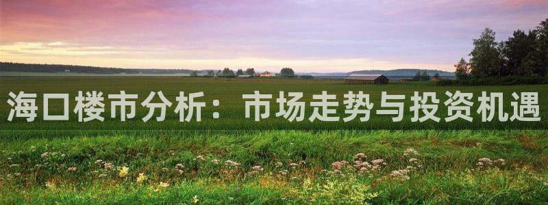 新宝5上来77542：海口楼市分析：市场走势与投资机遇