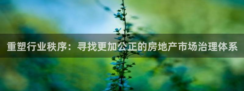 新宝5测：重塑行业秩序：寻找更加公正的房地产市场治理体系
