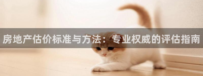 新宝gg5：房地产估价标准与方法：专业权威的评估指南