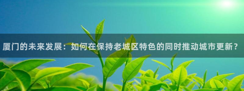 新5宝：厦门的未来发展：如何在保持老城区特色的同时推动城市更