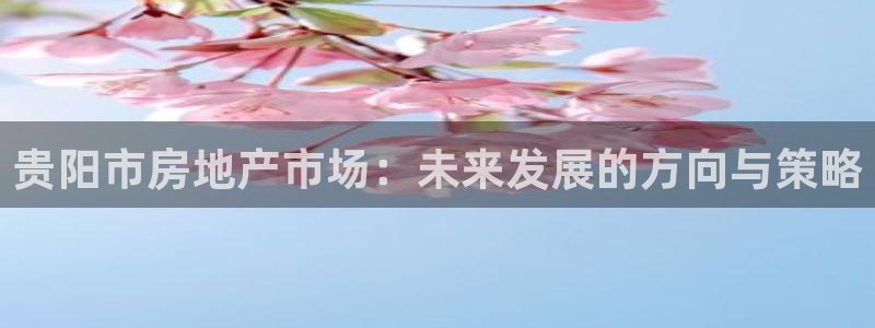 新宝速5：贵阳市房地产市场：未来发展的方向与策略