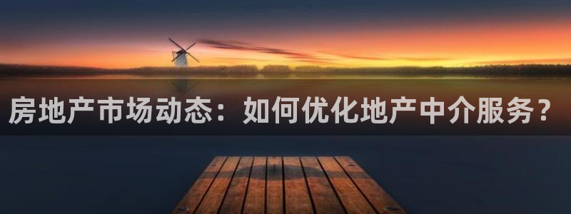 新宝股东瞧听2 5 5：房地产市场动态：如何优化地产中介服务