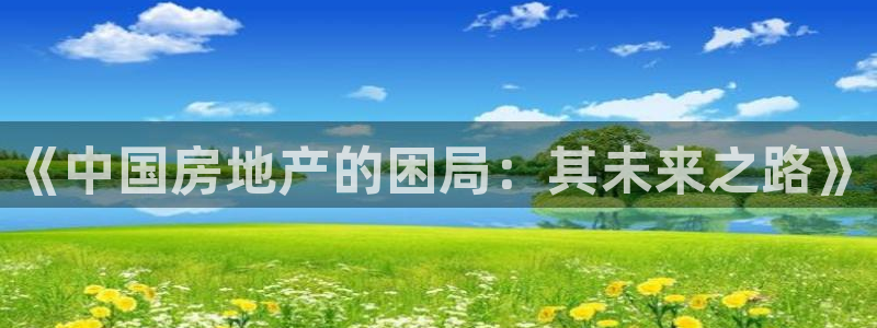 新宝5-：《中国房地产的困局：其未来之路》