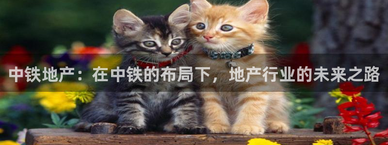 新宝5注册流程：中铁地产：在中铁的布局下，地产行业的未来之路