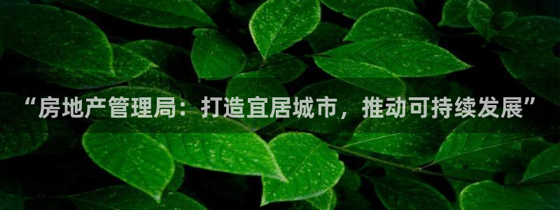 新宝5如何注册：“房地产管理局：打造宜居城市，推动可持续发展