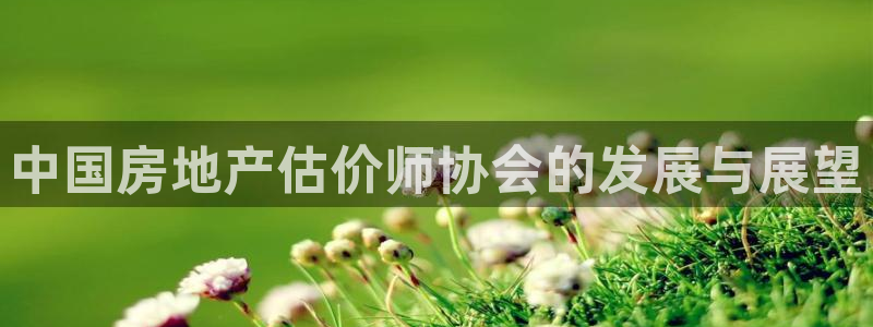新宝5网址：中国房地产估价师协会的发展与展望