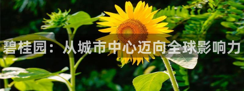 新宝5地址：碧桂园：从城市中心迈向全球影响力