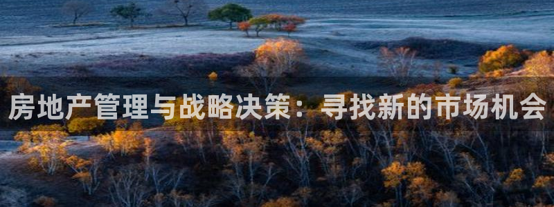 新宝5口67五壹叁八：房地产管理与战略决策：寻找新的市场机会