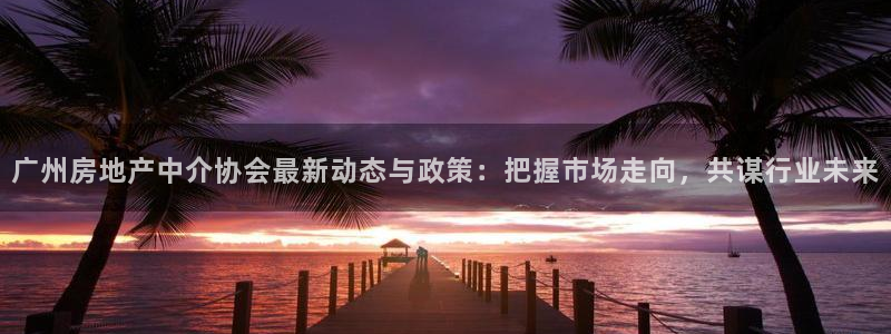 新宝娱乐5入口：广州房地产中介协会最新动态与政策：把握市场走