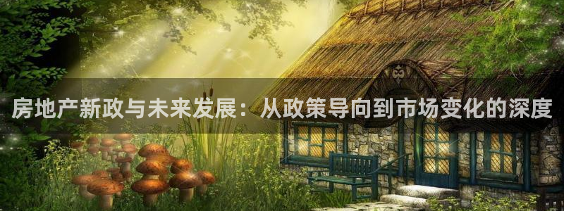 新宝注5册：房地产新政与未来发展：从政策导向到市场变化的深度