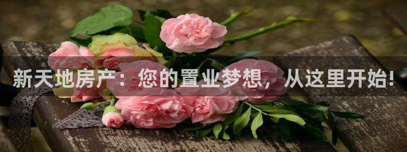 新宝5 代理：新天地房产：您的置业梦想，从这里开始!