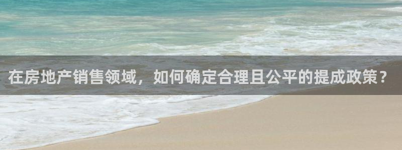 新宝股东张听2 5 5：在房地产销售领域，如何确定合理且公平