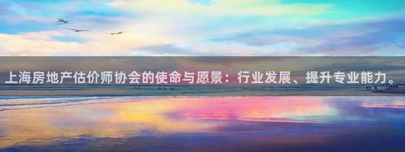 新宝5线路登录检测：上海房地产估价师协会的使命与愿景：行业发