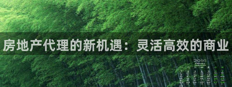 新宝5娱乐主管：房地产代理的新机遇：灵活高效的商业