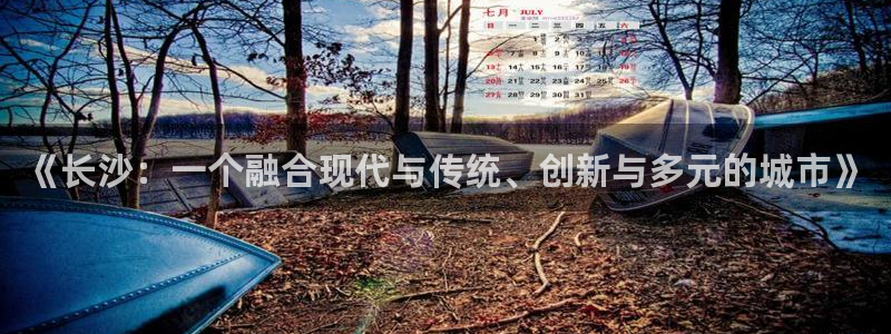 新5宝：《长沙：一个融合现代与传统、创新与多元的城市》