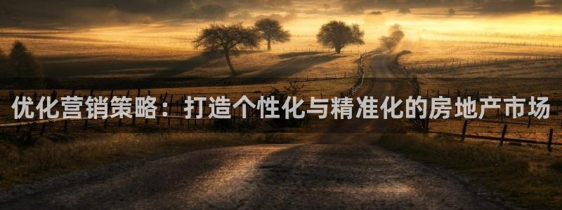 新宝5 唯一：优化营销策略：打造个性化与精准化的房地产市场