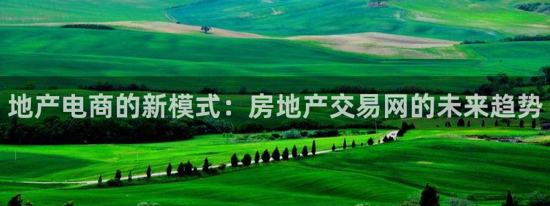新宝5内部：地产电商的新模式：房地产交易网的未来趋势