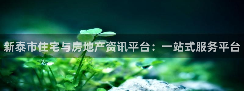 新宝5日740005蔻：新泰市住宅与房地产资讯平台：一站式服