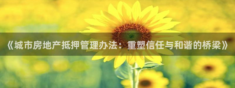 新宝5是什么：《城市房地产抵押管理办法：重塑信任与和谐的桥梁
