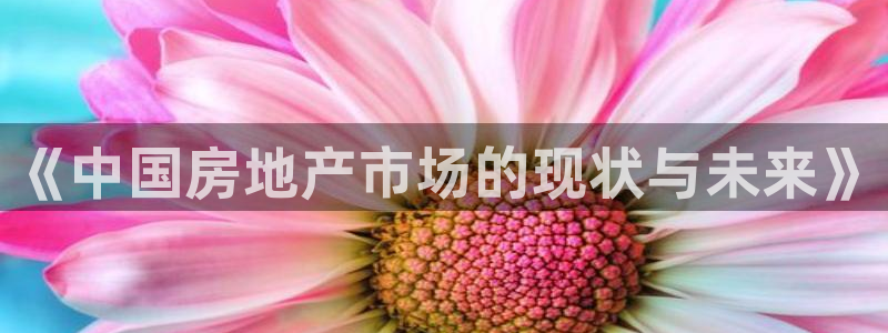 新宝5褚32OO59：《中国房地产市场的现状与未来》
