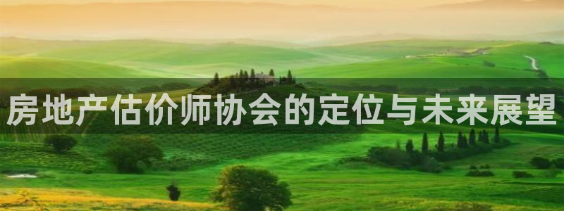 新宝5地址：房地产估价师协会的定位与未来展望