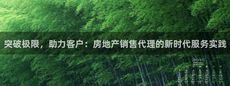 新宝5测登录：突破极限，助力客户：房地产销售代理的新时代服务