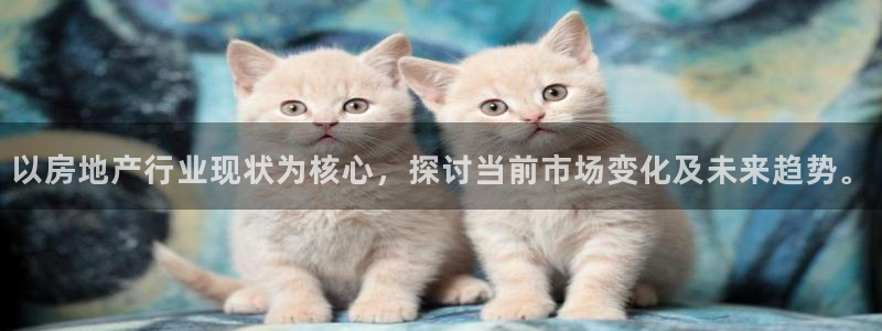 新宝h2O5O5O：以房地产行业现状为核心，探讨当前市场变化