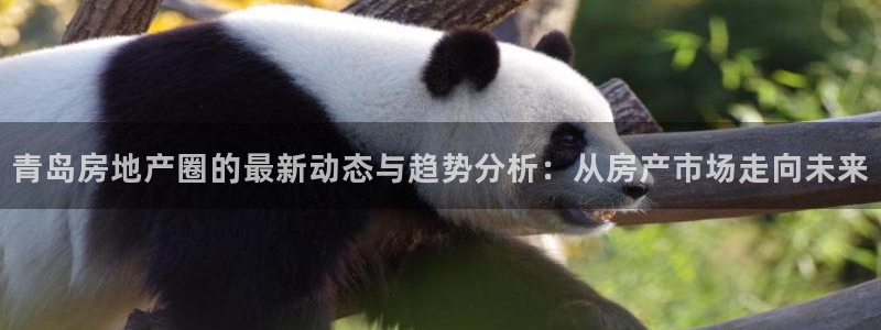 新宝5 - 测速登陆：青岛房地产圈的最新动态与趋势分析：从房