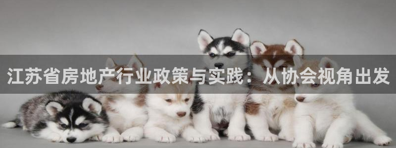 新宝5测登录：江苏省房地产行业政策与实践：从协会视角出发