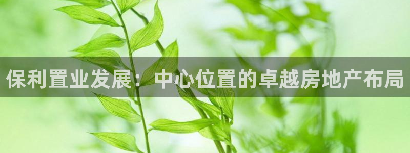 新宝5下载 迅雷下载：保利置业发展：中心位置的卓越房地产布局
