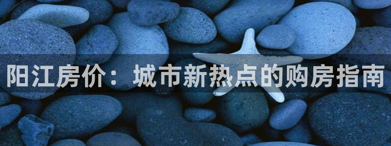 新宝5登录：阳江房价：城市新热点的购房指南