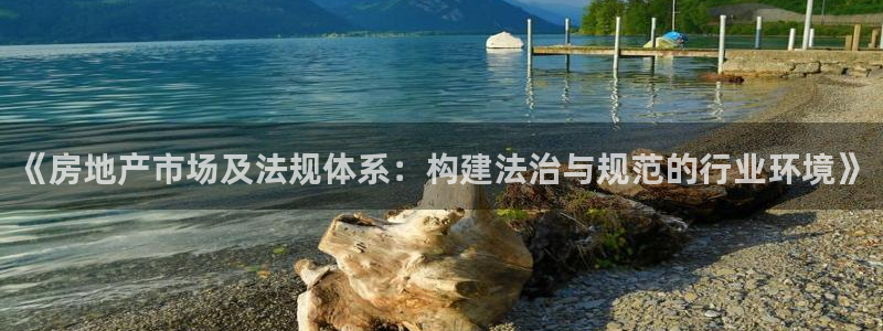新宝5侹刔：《房地产市场及法规体系：构建法治与规范的行业环境