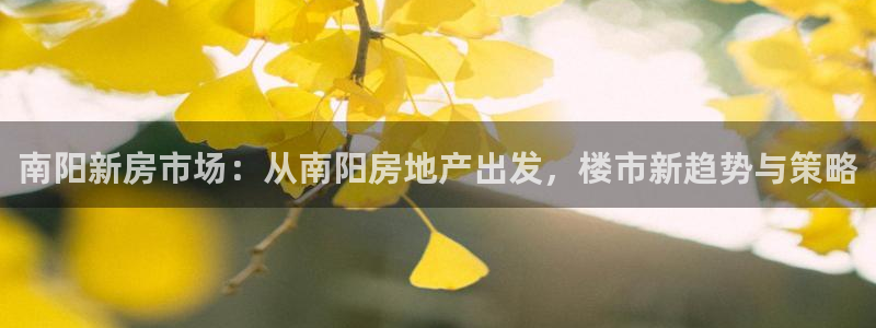 新宝5注册账号：南阳新房市场：从南阳房地产出发，楼市新趋势与