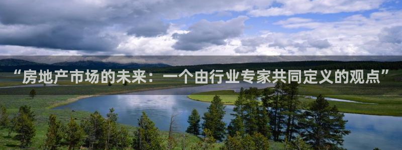 新宝5主管：“房地产市场的未来：一个由行业专家共同定义的观点