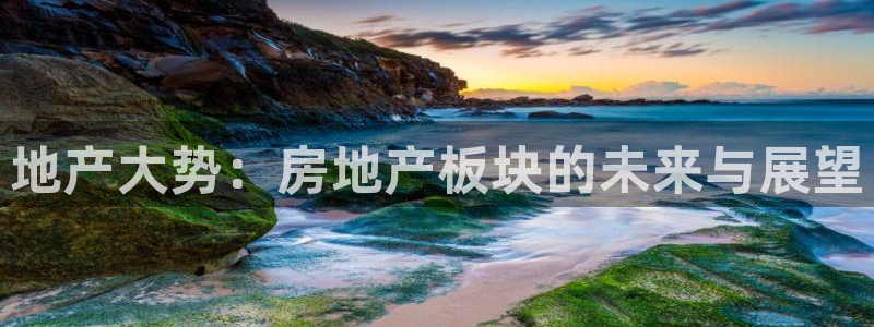 新宝5内部：地产大势：房地产板块的未来与展望