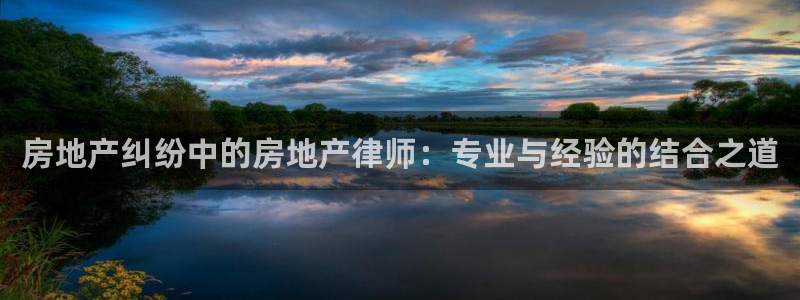 新宝5测速下载：房地产纠纷中的房地产律师：专业与经验的结合之