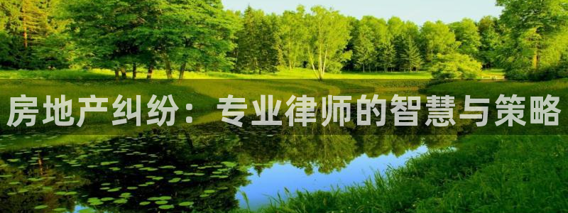 新宝5娱乐如：房地产纠纷：专业律师的智慧与策略