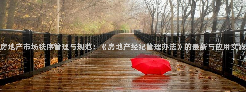 新宝5代理：房地产市场秩序管理与规范：《房地产经纪管理办法》