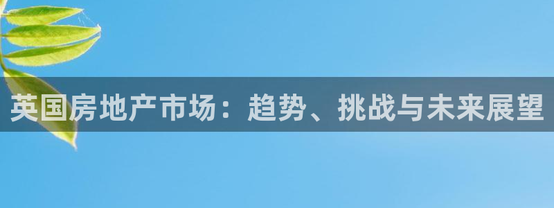 新宝5寂创33300散：英国房地产市场：趋势、挑战与未来展望