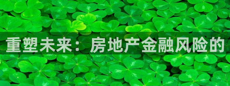 新宝5找找74OOO5：重塑未来：房地产金融风险的
