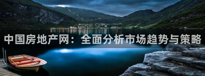 新宝h2O5O5O：中国房地产网：全面分析市场趋势与策略