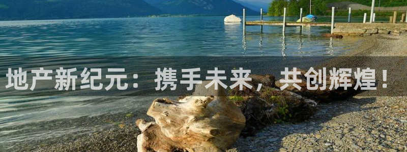 新宝5线路：地产新纪元：携手未来，共创辉煌！