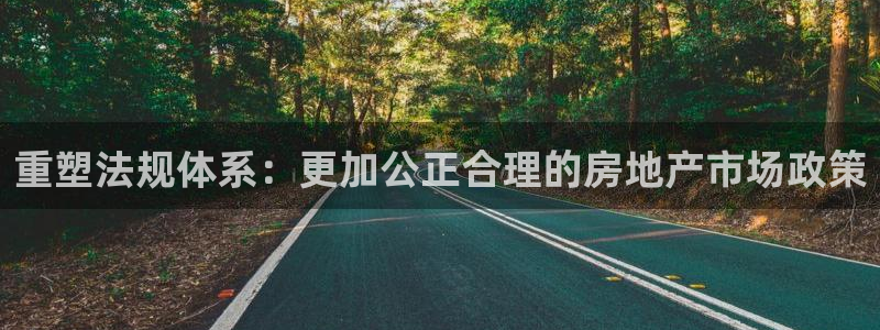 新宝5的网址：重塑法规体系：更加公正合理的房地产市场政策