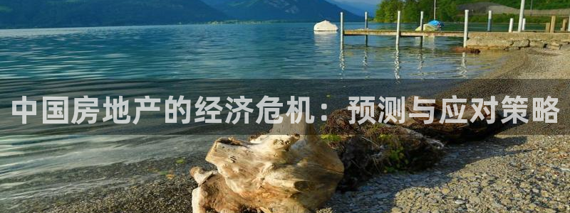 新宝5线路登录检测：中国房地产的经济危机：预测与应对策略