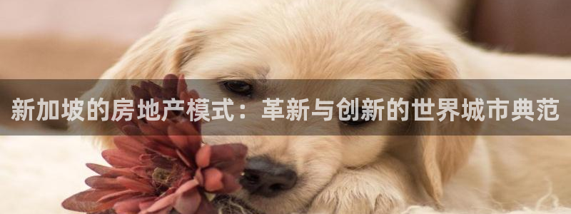 新宝5 测速：新加坡的房地产模式：革新与创新的世界城市典范