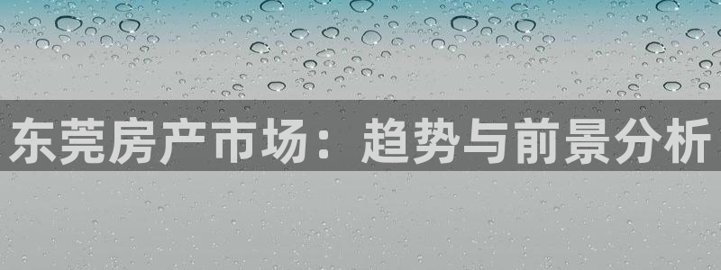 新宝5培训：东莞房产市场：趋势与前景分析