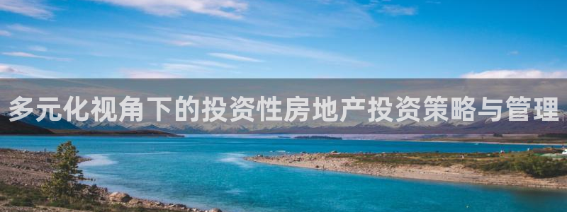 新宝xb5：多元化视角下的投资性房地产投资策略与管理